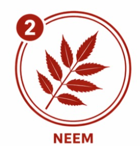 Neem